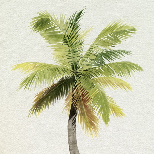 Coco Watercolor Palm II
