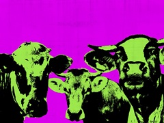 Pop Art Farm VI
