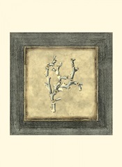 Mini Exotic Coral III (U)