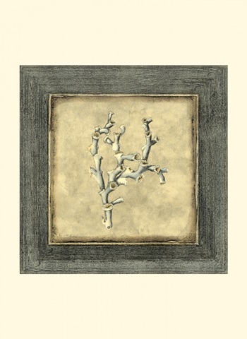 Mini Exotic Coral III (U)