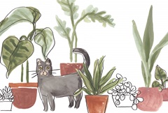 Purrfect Plants Collection A