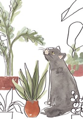 Purrfect Plants Collection B