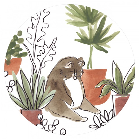 Purrfect Plants Collection C