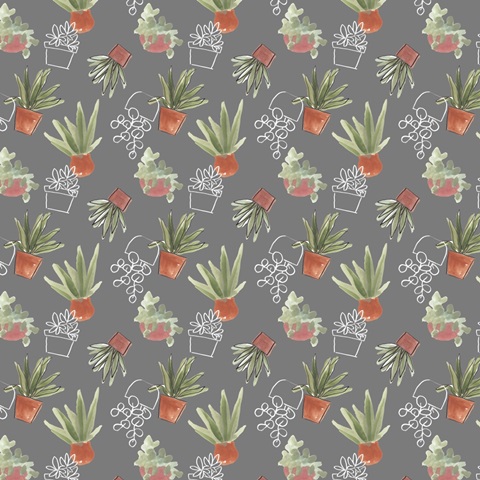 Purrfect Plants Collection G