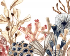 Ocean Chorus Collection A