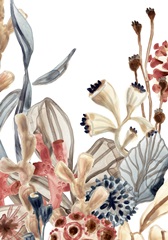 Ocean Chorus Collection B