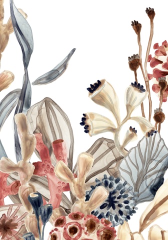 Ocean Chorus Collection B