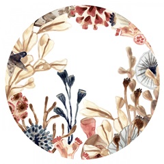 Ocean Chorus Collection C