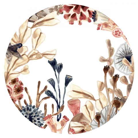 Ocean Chorus Collection C