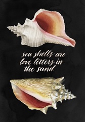 Shore Things Collection B