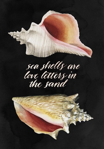 Shore Things Collection B