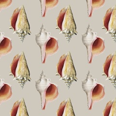 Shore Things Collection F