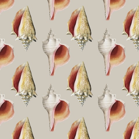 Shore Things Collection F