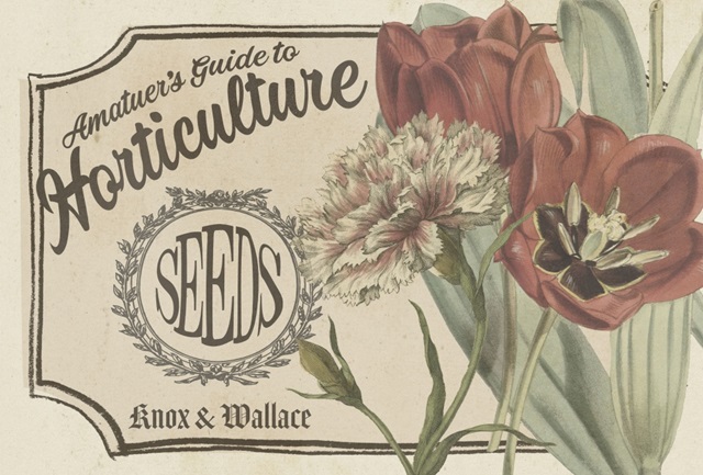 Vintage Seed Packets Collection A