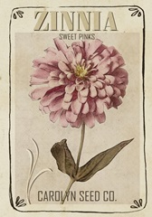 Vintage Seed Packets Collection B