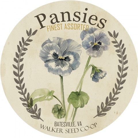 Vintage Seed Packets Collection C