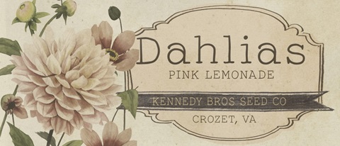 Vintage Seed Packets Collection D