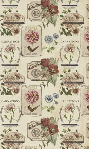 Vintage Seed Packets Collection E
