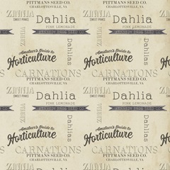 Vintage Seed Packets Collection F