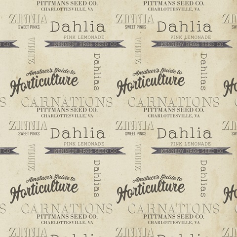 Vintage Seed Packets Collection F