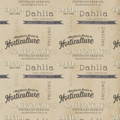 Vintage Seed Packets Collection G