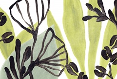 Tropical Collage Collection A