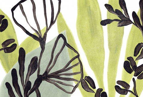 Tropical Collage Collection A