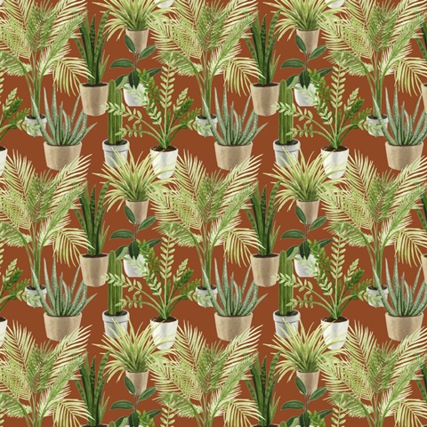 Alone Time Collection G