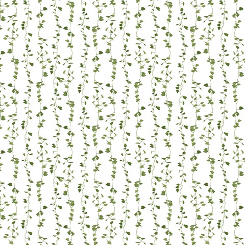 Alone Time Collection H