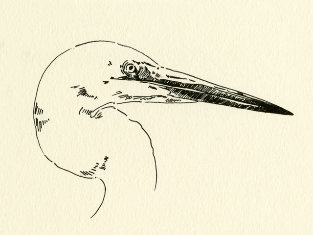 Heron Head I