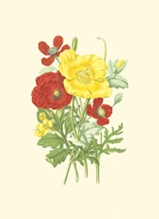 Summer Garden II