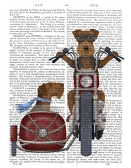 Airedale Chopper and Sidecar