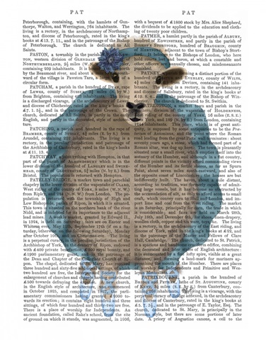 Ballet Sheep 3 Book Print