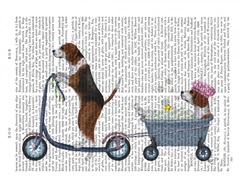 Beagle Scooter