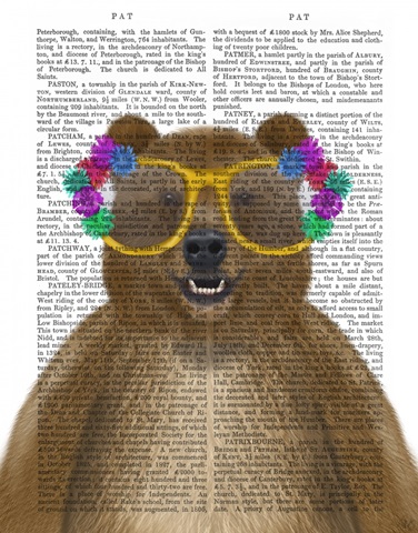 Bear and Flower Glasses