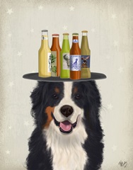Bernese Beer Lover