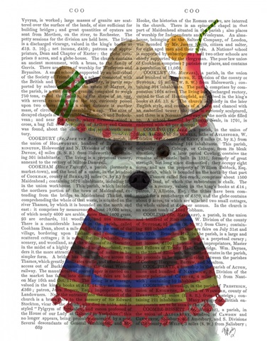 Bichon Frise in Mexican Costume