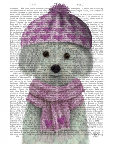 Bichon Frise in Pink Bobble Hat