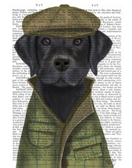 Black Labrador Country Dog