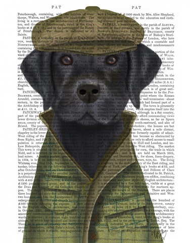 Black Labrador Country Dog