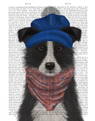 Border Collie in Blue Bobble Hat