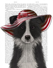 Border Collie in Red and White Floppy Hat
