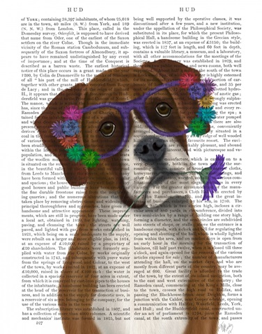 Boxer and Flower Glasses