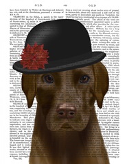 Chocolate Labrador and Bowler