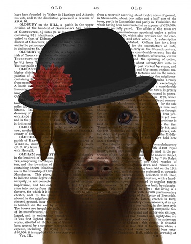 Chocolate Labrador and Bowler