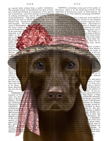 Chocolate Labrador Hat and Pink Scarf