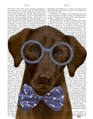 Chocolate Labrador with Glasses and Bow Tie
