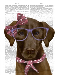 Chocolate Labrador with Glasses and Scarf