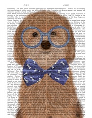 Cockerpoo, Apricot, with Glasses and Bow Tie