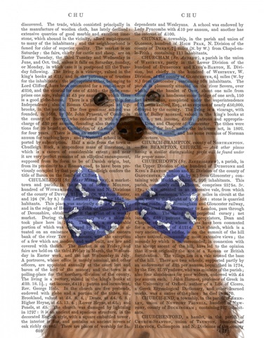 Cockerpoo, Apricot, with Glasses and Bow Tie